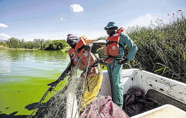 Government urged to act against 'criminal' pollution of Hennops River