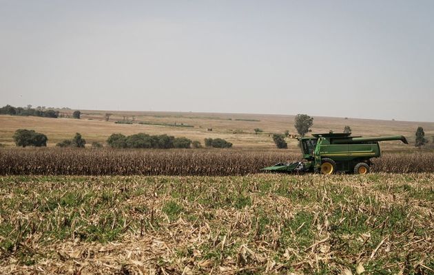 27 farm murders in 1st half of 2015 – AfriForum/TAU SA