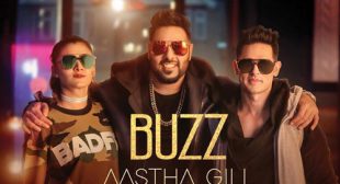 Buzz Sung by Badshah