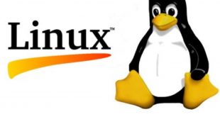 5 Best Password Managers for Linux