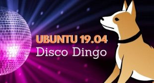 Here’s Why You Should Upgrade to Ubuntu 19.04 Disco Dingo