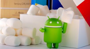 How to Enable and Use Android Q Gestures