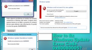 How to Troubleshoot Windows Update Error Code 0x80080005?