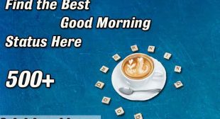 {500+} Best Good Morning Status that you love to Share Catchy GM Status