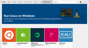 HOW TO INSTALL WSL ON WINDOWS 10?