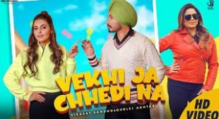 VEKHI JA CHHEDI NA LYRICS – VIRASAT SANDHU