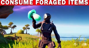 Location of Fortnite Foraged Items: Mushrooms, Apples, Coconuts & Slurpshorooms