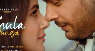 Bhula Dunga Lyrics – Sidnaaz