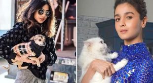 From Alia Bhatt’s Edward Bhatt To Priyanka Chopra Jonas’ Diana Chopra, These Bollywood Pets Are The Real Instagram Celebs