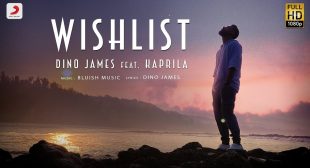 Wishlist Lyrics – Dino James ft. Kaprila