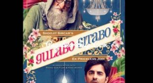 Gulabo Sitabo (2020) Mp3 Songs