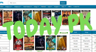 Todaypk 2020 Illegal Website To Download HD Bollywood & Hollywood Movies