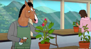 BoJack Horseman: A Show More Than Just Anime