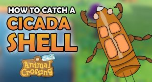 How to Catch a Cicada Shell in Animal Crossing: New Horizons