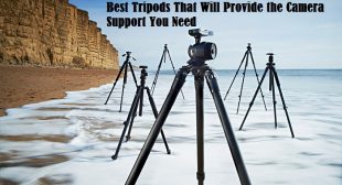 5 Best Tripods That Will Provide the Camera Support You Need