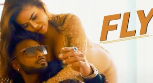 FLY LYRICS – INDEEP BAKSHI