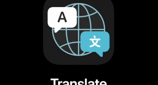 APPLE TRANSLATE INTO IOS 14: HOW TO USE