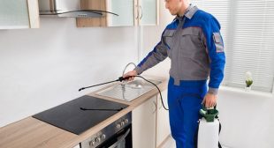 Pest Control Service Near Me USA | Instant Solution