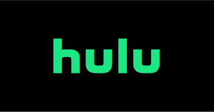 How To Fix Hulu Error Code 301 (6-Methods to Fix!)