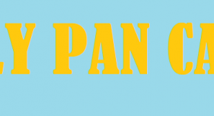 How to Download E-Pan Card Online Duplicate PAN card / Reprint ?