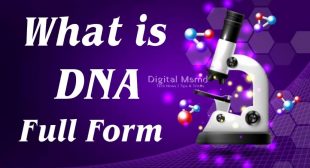 DNA Full Form | What is DNA Full Form in Medical