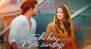 Tu Hi Hai Meri Zindagi Lyrics – Nikhil D’souza