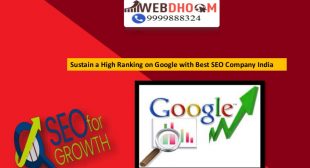 Ensure More Traffic and Increased Earnings With SEO Services Provider Company in India