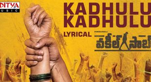 Kadhulu Kadhulu Lyrics – Vakeel Saab