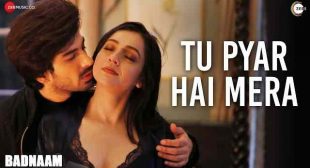 तू प्यार है मेरा Tu Pyar Hai Mera Lyrics in Hindi – Badnaam – Gaanaline