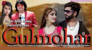 गुलमोहर Gulmohar Cg Song Lyrics in Hindi – Nitin Dubey & Sharmila Biswas – Gaanaline