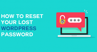 How to Reset Your Lost WordPress Password? | wewpyou